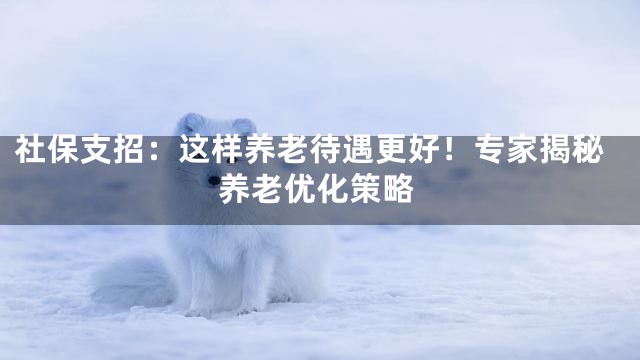 社保支招：这样养老待遇更好！专家揭秘养老优化策略