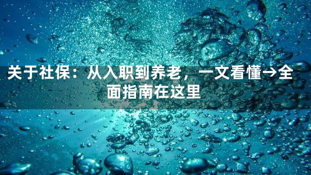 关于社保：从入职到养老，一文看懂→全面指南在这里