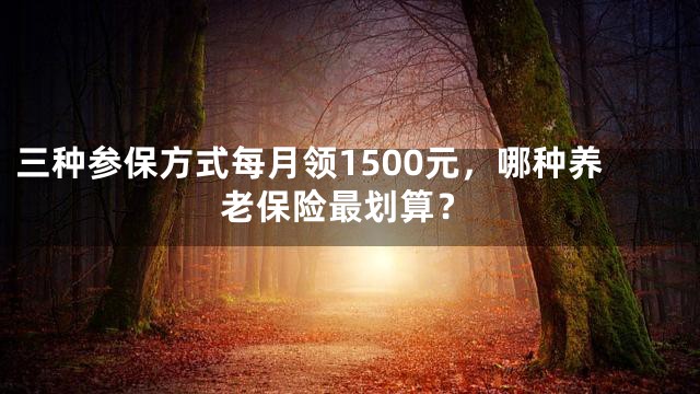 三种参保方式每月领1500元，哪种养老保险最划算？