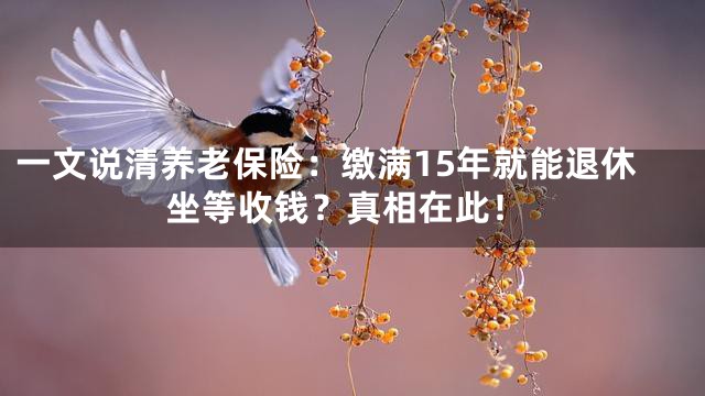 一文说清养老保险：缴满15年就能退休坐等收钱？真相在此！