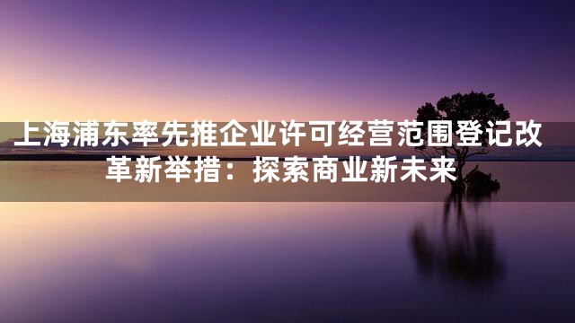 上海浦东率先推企业许可经营范围登记改革新举措：探索商业新未来