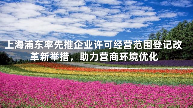 上海浦东率先推企业许可经营范围登记改革新举措，助力营商环境优化