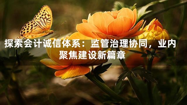 探索会计诚信体系：监管治理协同，业内聚焦建设新篇章
