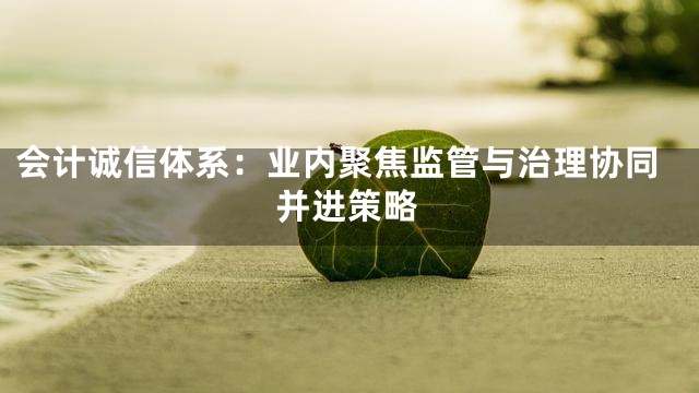 会计诚信体系：业内聚焦监管与治理协同并进策略