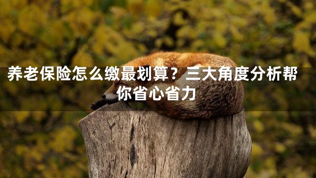 养老保险怎么缴最划算？三大角度分析帮你省心省力