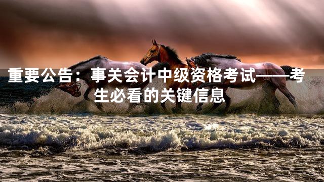 重要公告：事关会计中级资格考试——考生必看的关键信息