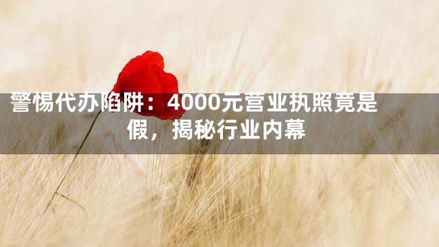 警惕代办陷阱：4000元营业执照竟是假，揭秘行业内幕