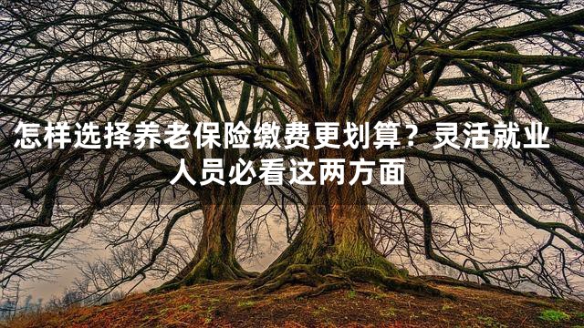 怎样选择养老保险缴费更划算？灵活就业人员必看这两方面