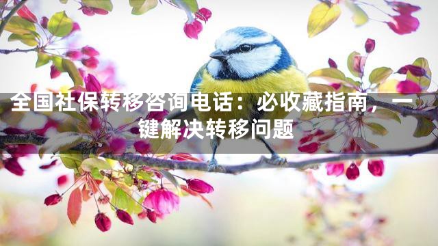 全国社保转移咨询电话：必收藏指南，一键解决转移问题