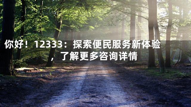 你好！12333：探索便民服务新体验，了解更多咨询详情