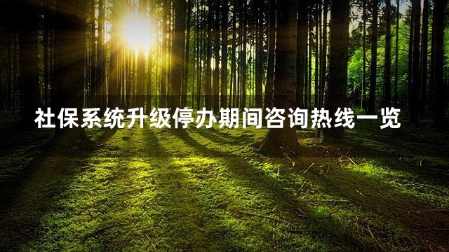 社保系统升级停办期间咨询热线一览