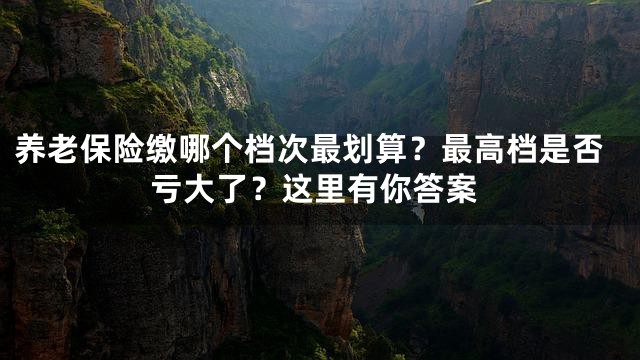 养老保险缴哪个档次最划算？最高档是否亏大了？这里有你答案