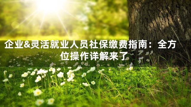 企业&灵活就业人员社保缴费指南：全方位操作详解来了