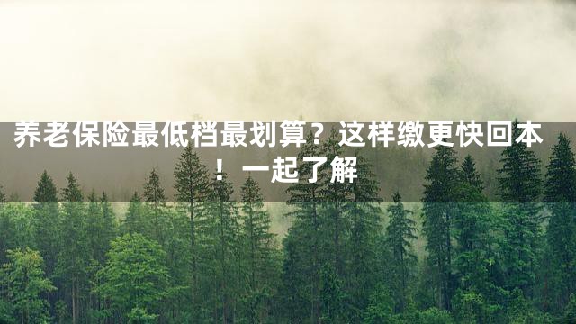 养老保险最低档最划算？这样缴更快回本！一起了解