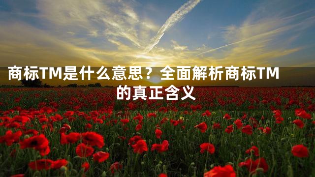 商标TM是什么意思？全面解析商标TM的真正含义