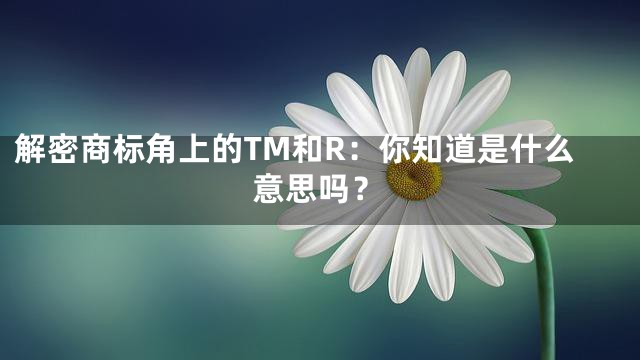 解密商标角上的TM和R：你知道是什么意思吗？