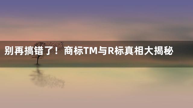 别再搞错了！商标TM与R标真相大揭秘