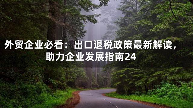 外贸企业必看：出口退税政策最新解读，助力企业发展指南24