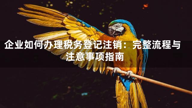 企业如何办理税务登记注销：完整流程与注意事项指南