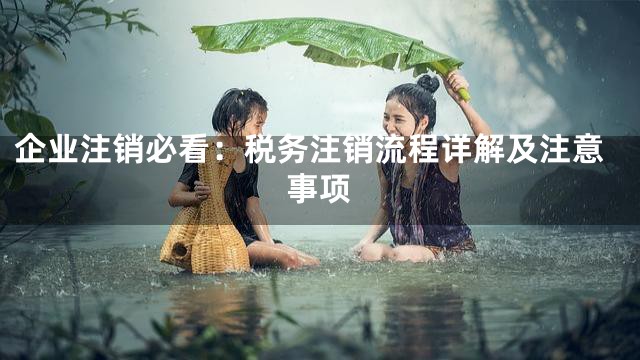 企业注销必看：税务注销流程详解及注意事项