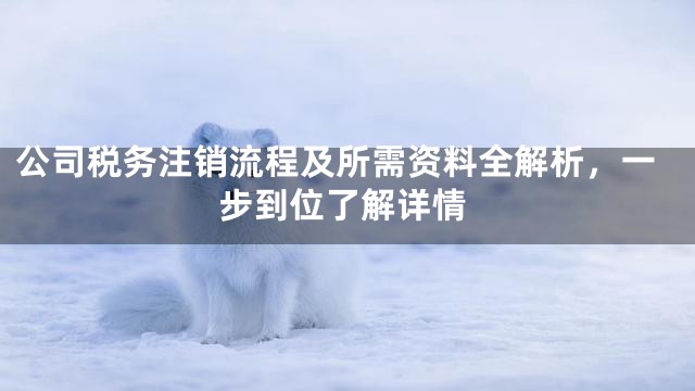 公司税务注销流程及所需资料全解析，一步到位了解详情