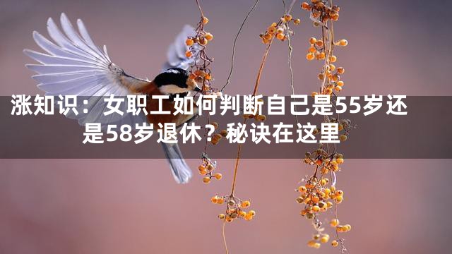 涨知识：女职工如何判断自己是55岁还是58岁退休？秘诀在这里