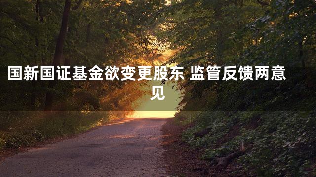 国新国证基金欲变更股东 监管反馈两意见