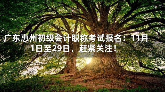 广东惠州初级会计职称考试报名：11月1日至29日，赶紧关注！