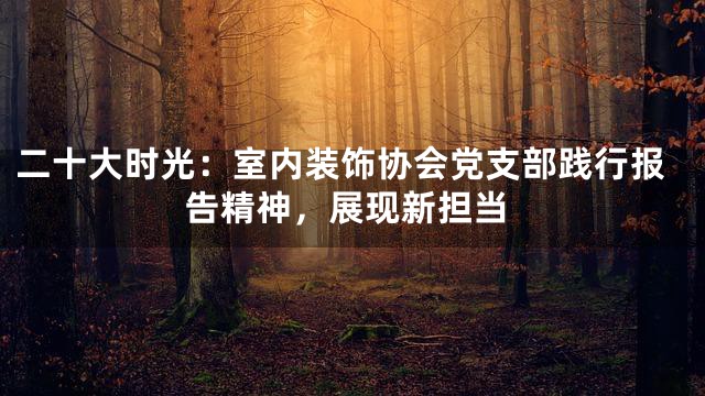 二十大时光：室内装饰协会党支部践行报告精神，展现新担当