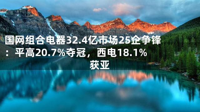 国网组合电器32.4亿市场25企争锋：平高20.7%夺冠，西电18.1%获亚