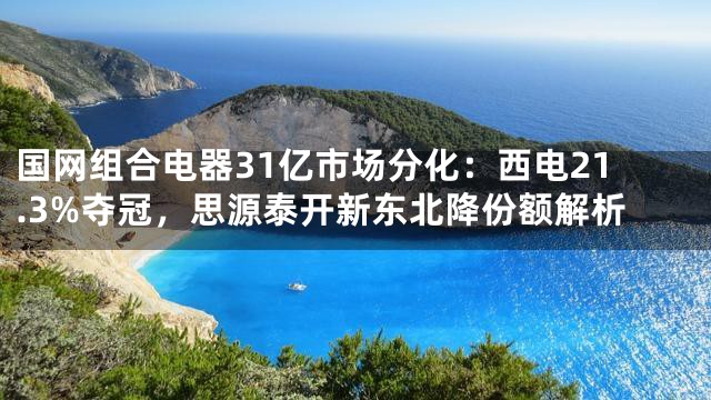 国网组合电器31亿市场分化：西电21.3%夺冠，思源泰开新东北降份额解析