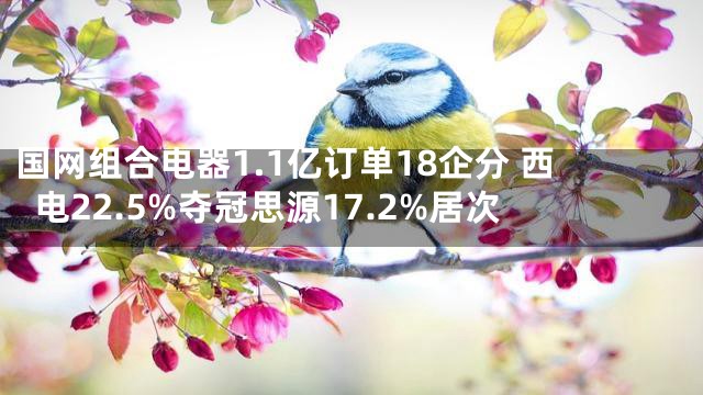 国网组合电器1.1亿订单18企分 西电22.5%夺冠思源17.2%居次