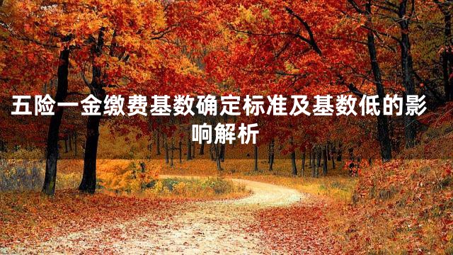 五险一金缴费基数确定标准及基数低的影响解析