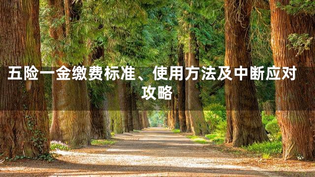 五险一金缴费标准、使用方法及中断应对攻略