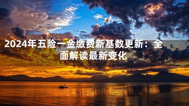 2024年五险一金缴费新基数更新：全面解读最新变化