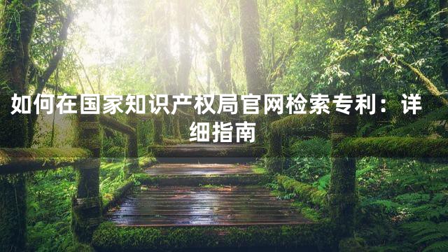 如何在国家知识产权局官网检索专利：详细指南