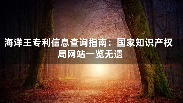 海洋王专利信息查询指南：国家知识产权局网站一览无遗