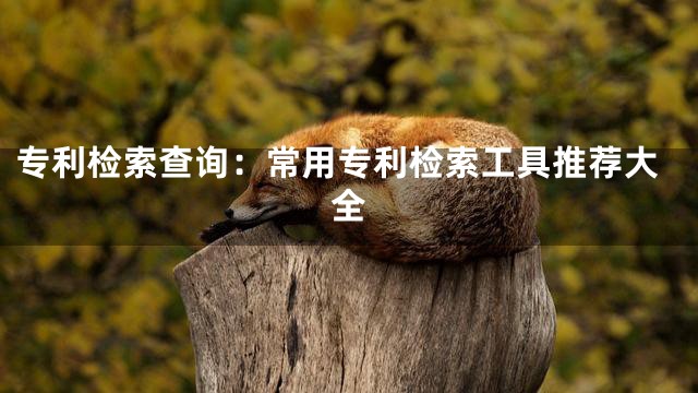 专利检索查询：常用专利检索工具推荐大全