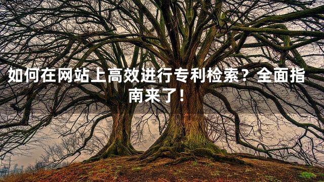 如何在网站上高效进行专利检索？全面指南来了！