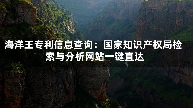 海洋王专利信息查询：国家知识产权局检索与分析网站一键直达