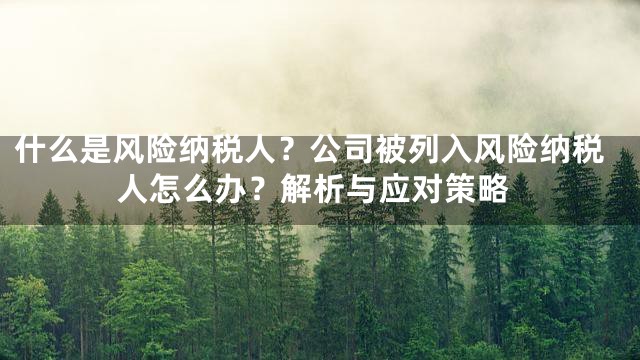 什么是风险纳税人？公司被列入风险纳税人怎么办？解析与应对策略