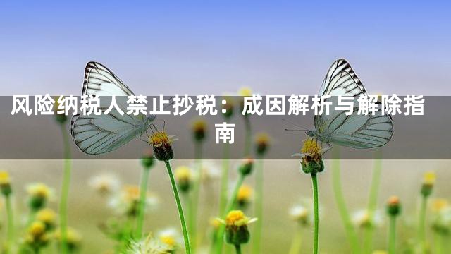 风险纳税人禁止抄税：成因解析与解除指南