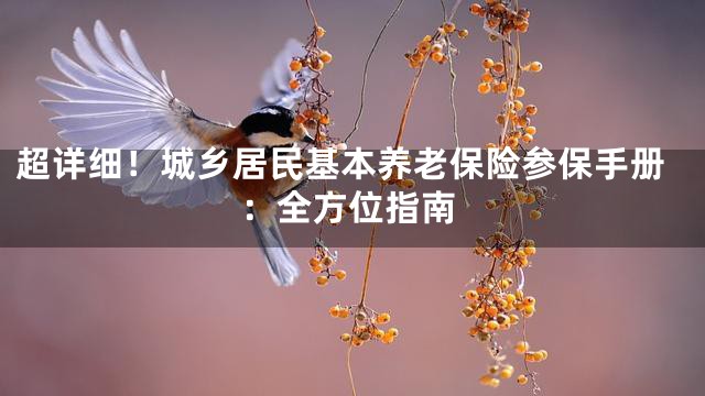 超详细！城乡居民基本养老保险参保手册：全方位指南
