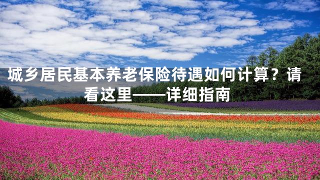 城乡居民基本养老保险待遇如何计算？请看这里——详细指南