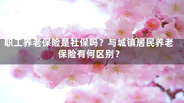 职工养老保险是社保吗？与城镇居民养老保险有何区别？
