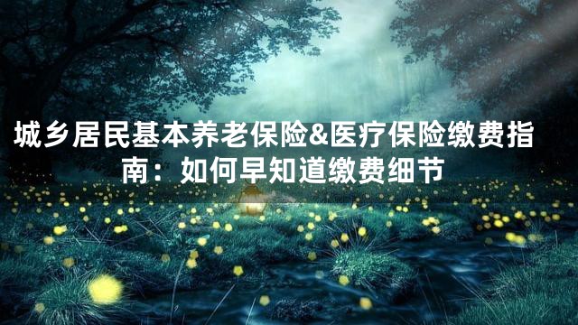 城乡居民基本养老保险&医疗保险缴费指南：如何早知道缴费细节