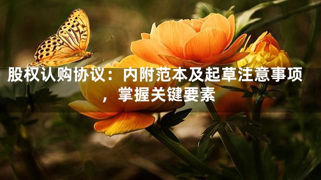股权认购协议：内附范本及起草注意事项，掌握关键要素
