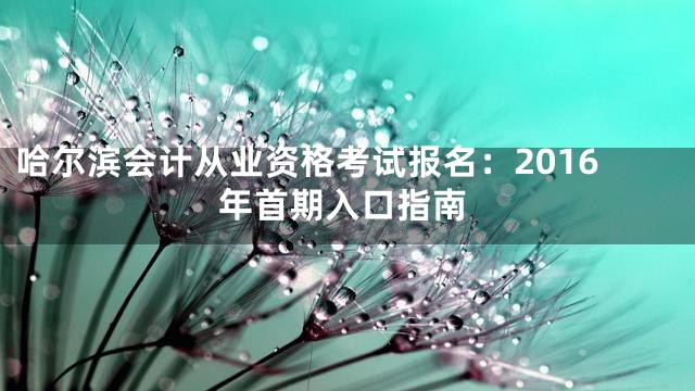 哈尔滨会计从业资格考试报名：2016年首期入口指南