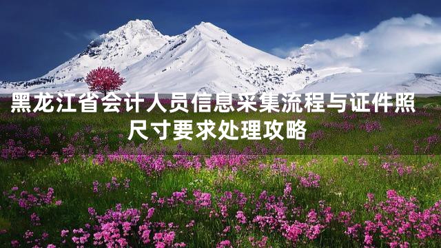 黑龙江省会计人员信息采集流程与证件照尺寸要求处理攻略