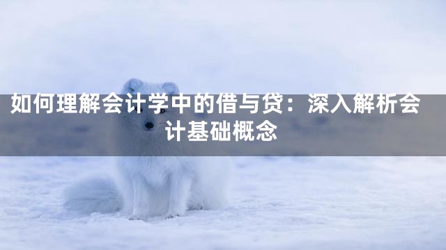如何理解会计学中的借与贷：深入解析会计基础概念